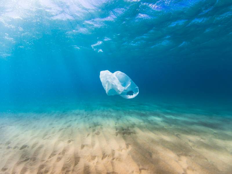 A plastic bag floating in the ocean