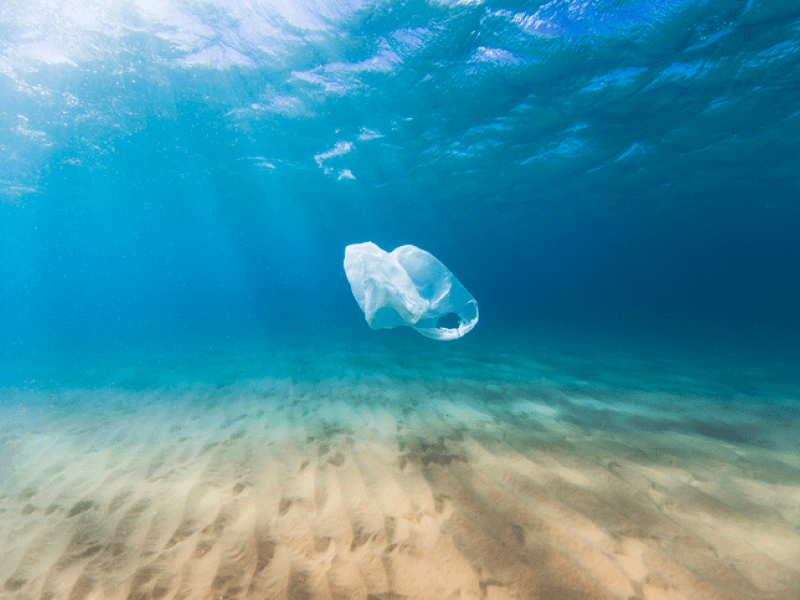 A plastic bag floating in the ocean