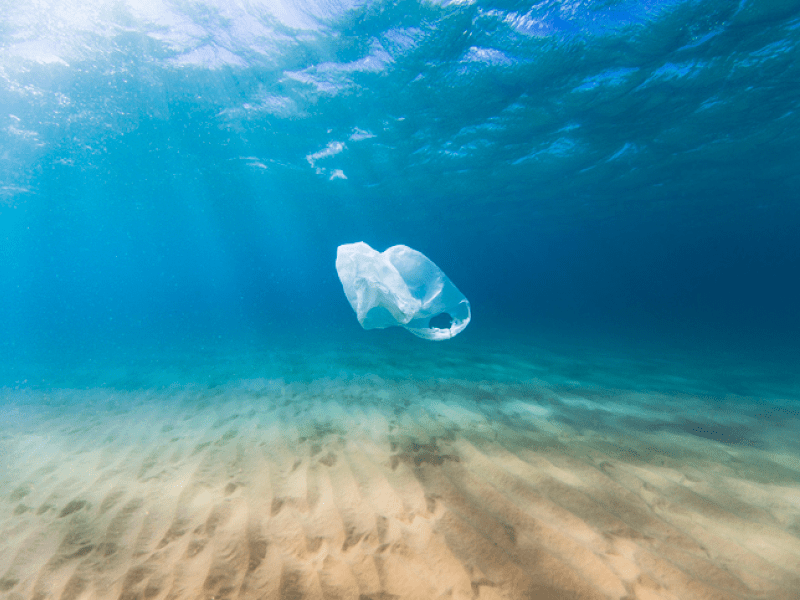 A plastic bag floating in the ocean