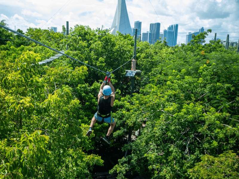 zipline tra le cime degli alberi