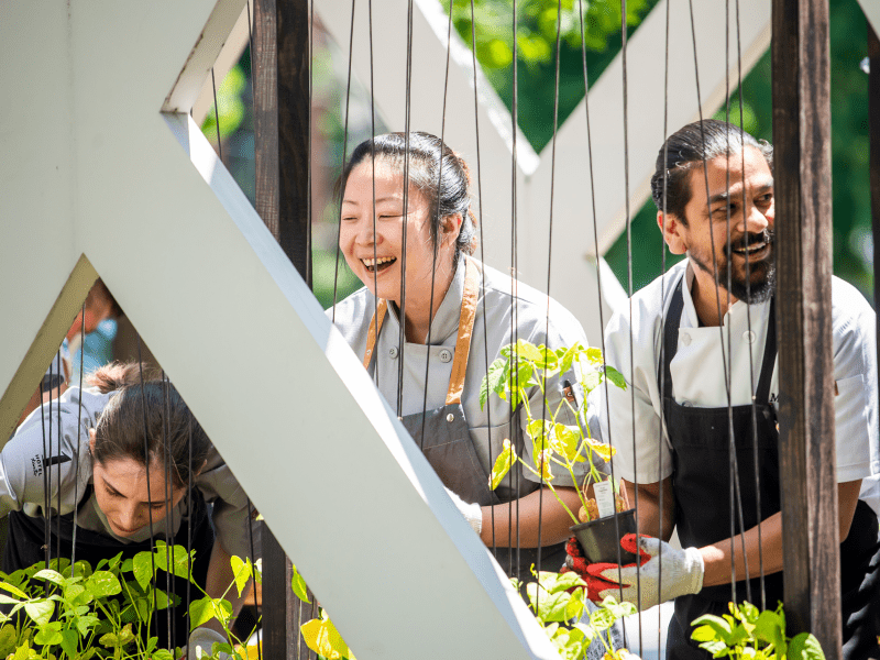 People with aprons tending to a garden