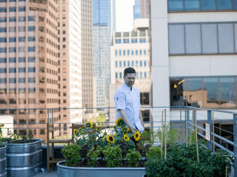 Chef Scott tending to plants in a garden