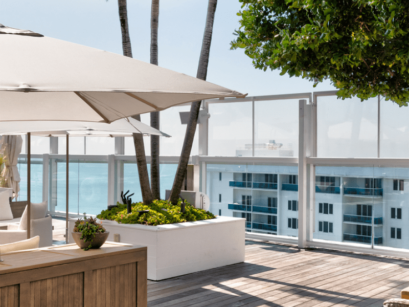 Outdoor terrace area with umbrellas and trees for shade