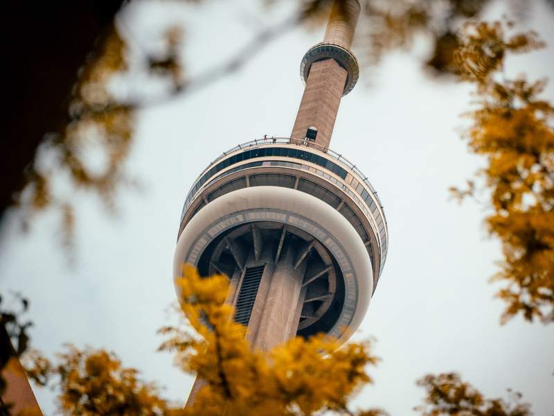 View from beneath CN tower with fall foliage