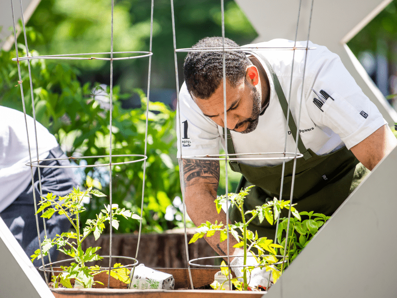 Chef in greenhouse