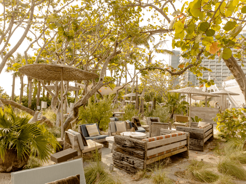 Outdoor seating area under trees