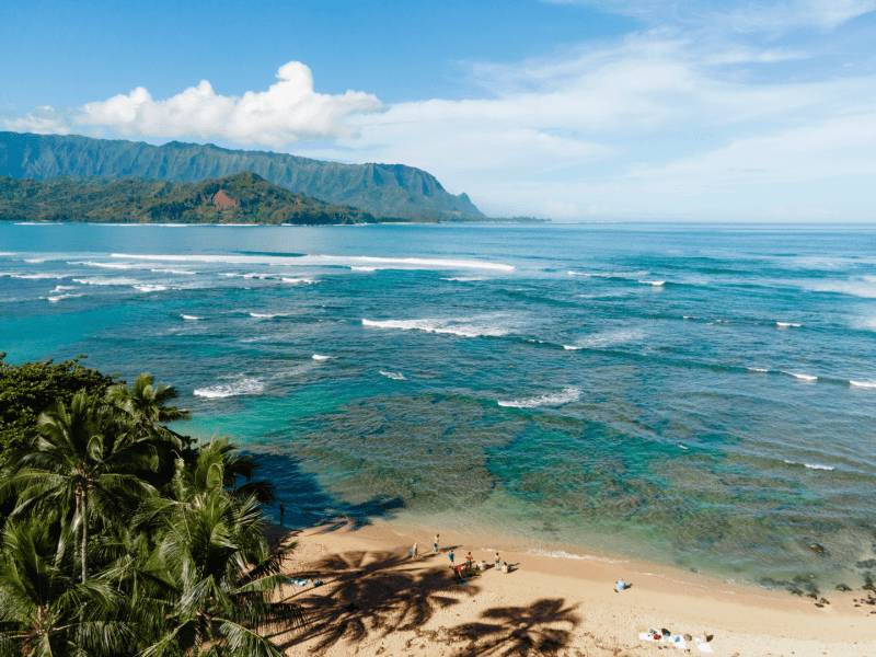 ocean shoreline