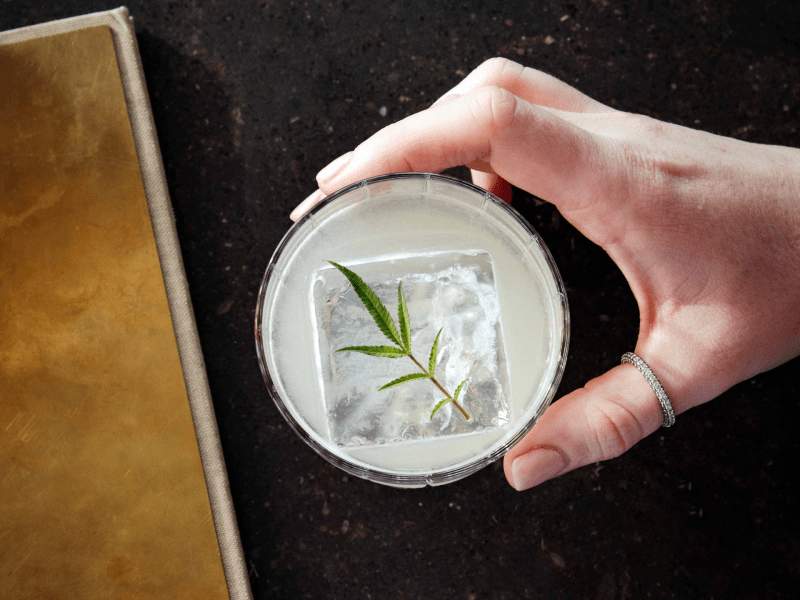 Cocktail 
