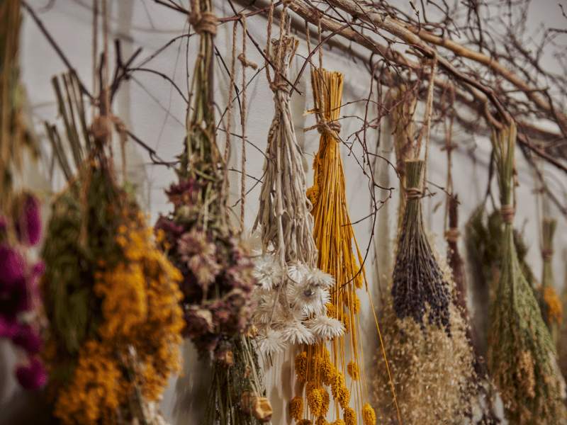 dried flowers