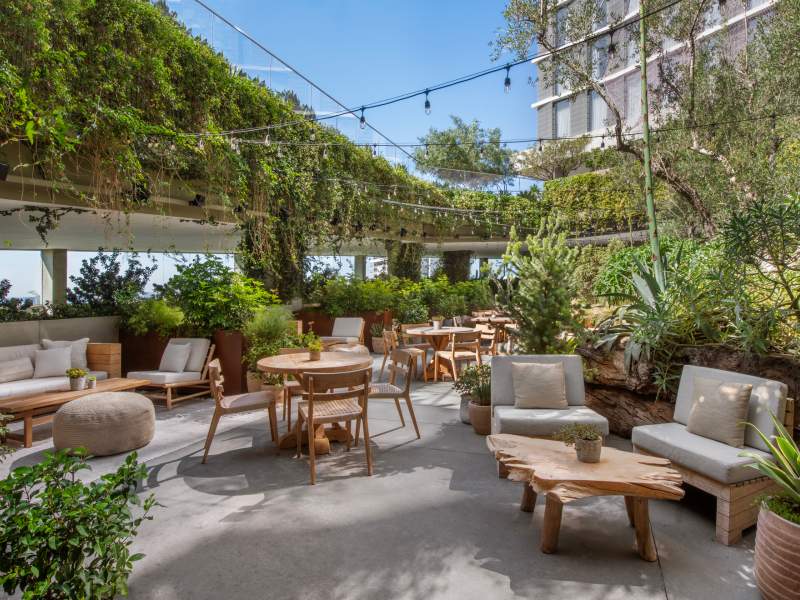 juniper garden seating area