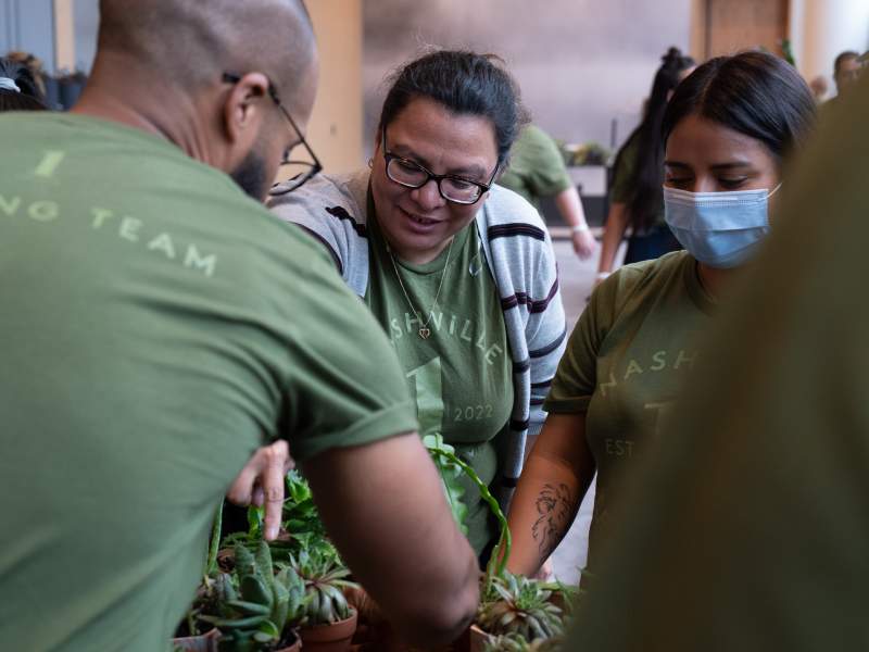 1 Hotel equipa 1 Hotel a distribuir plantas para a comunidade