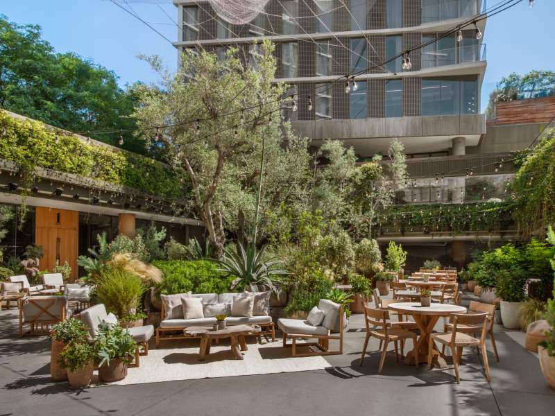 Juniper Lounge and Garden