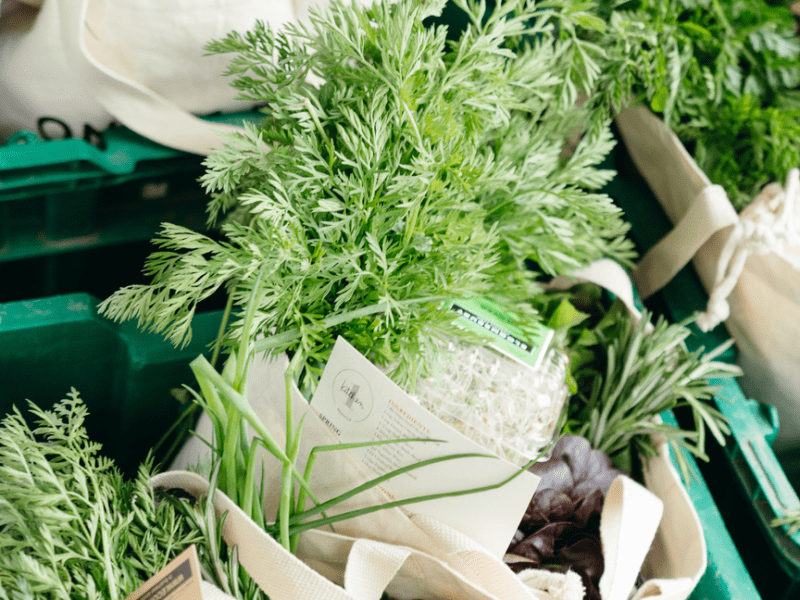 Fresh garden herbs & vegetables