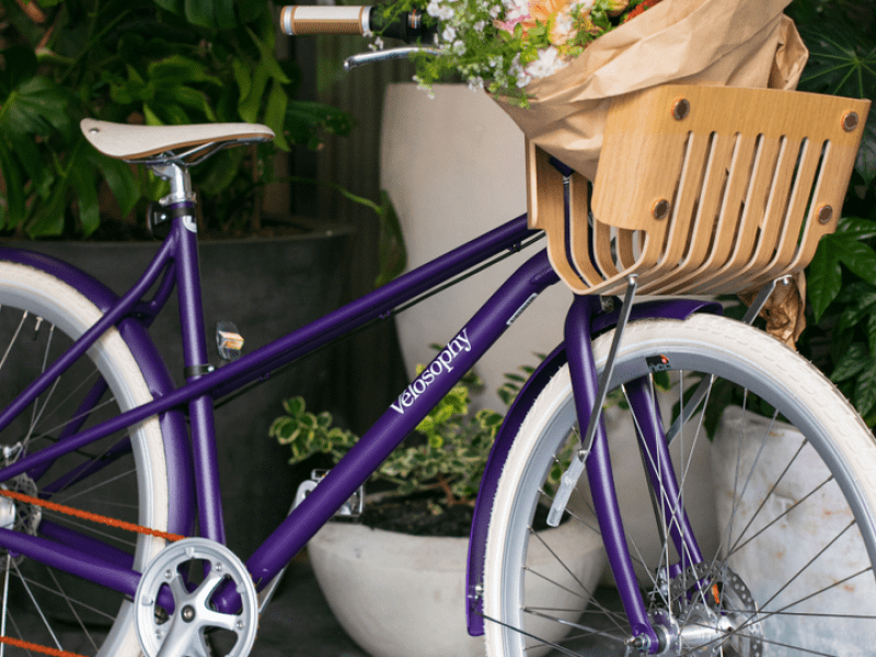 bike with a bundle of flowers in the basket