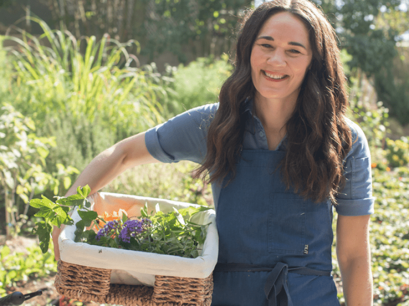 Person holding a basket of plants