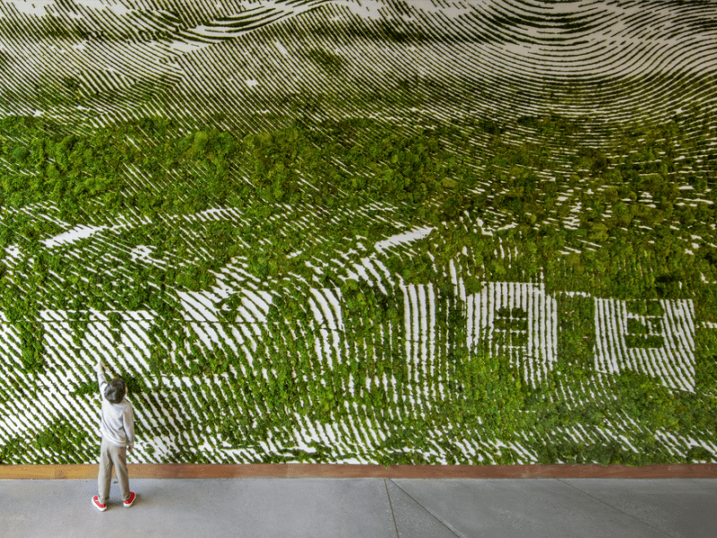 eco green wall