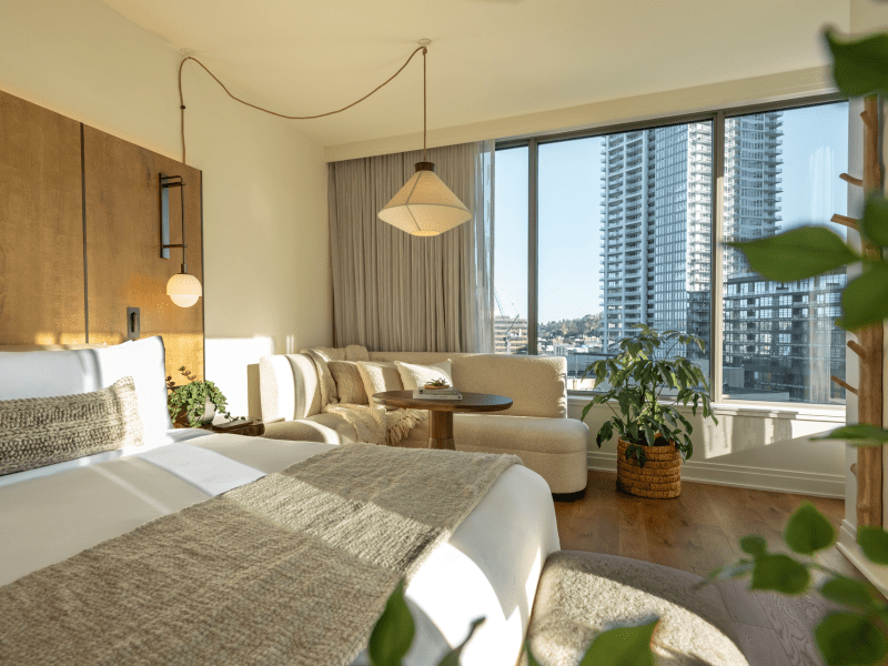studio suite