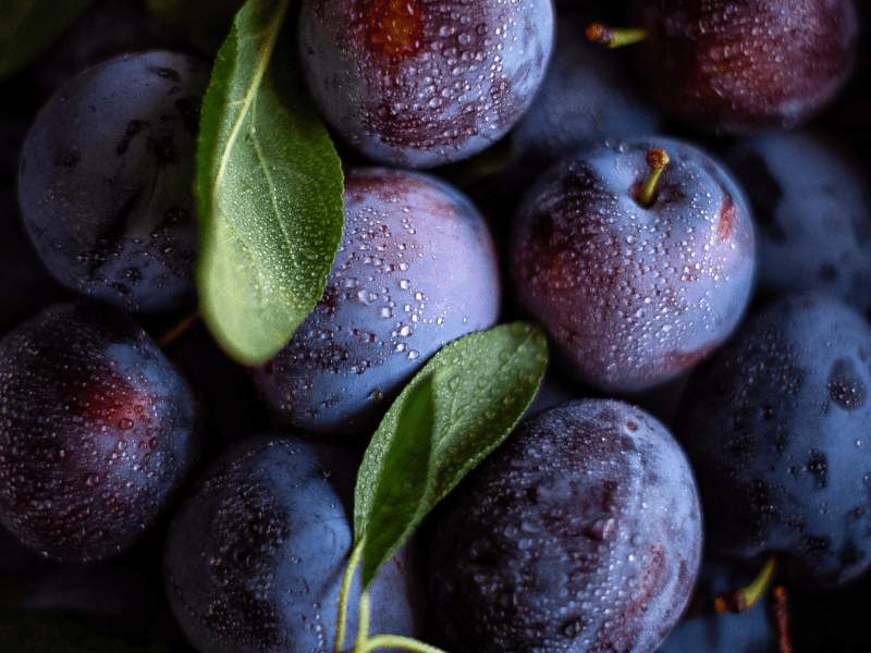 prunes