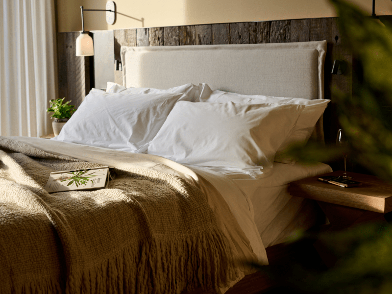 bed