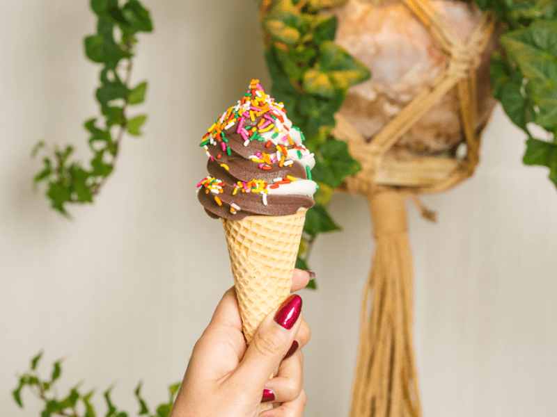 Hand holding a chocolate and vanilla twist cone