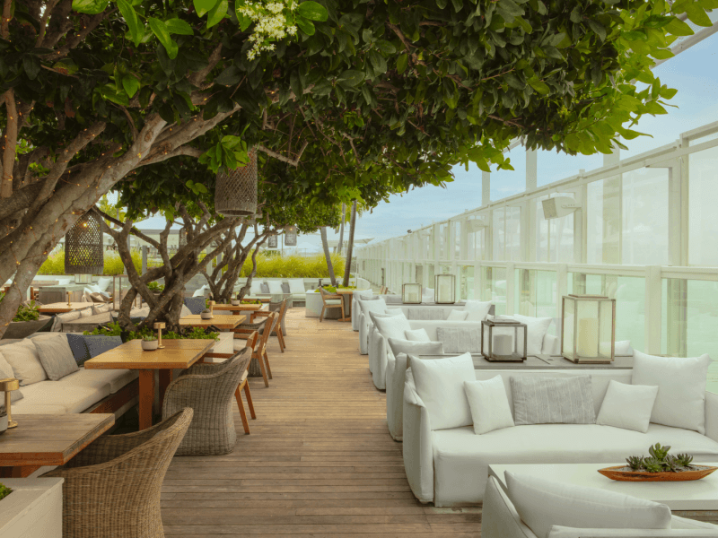 Outdoor dining area covered with lit up trees