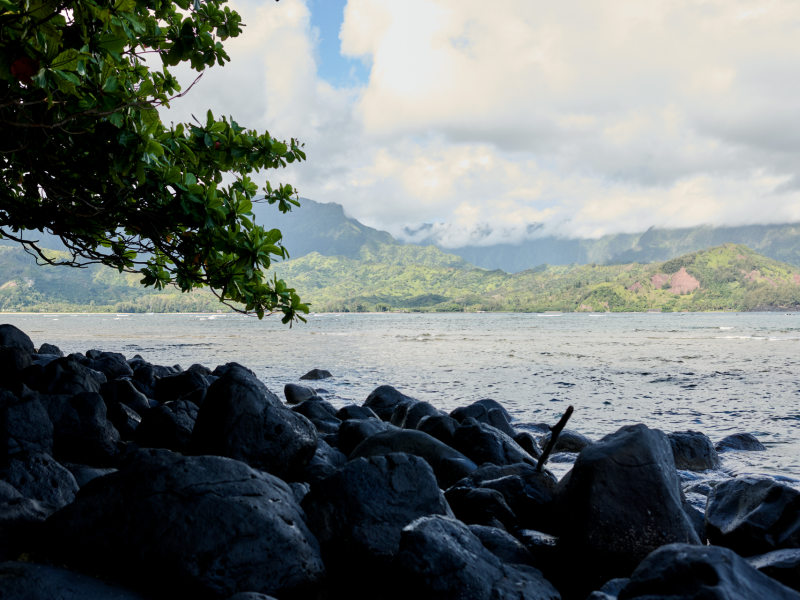Kamani Cove