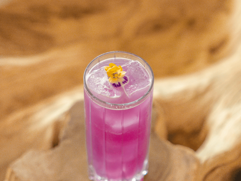 Purple cocktail for pride month