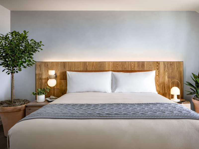 A king size bed with green potted plants on either side