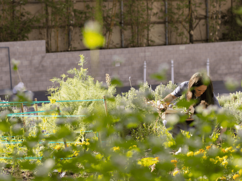 a woman gardening