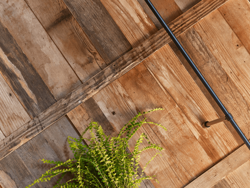 A wooden wall with a plant