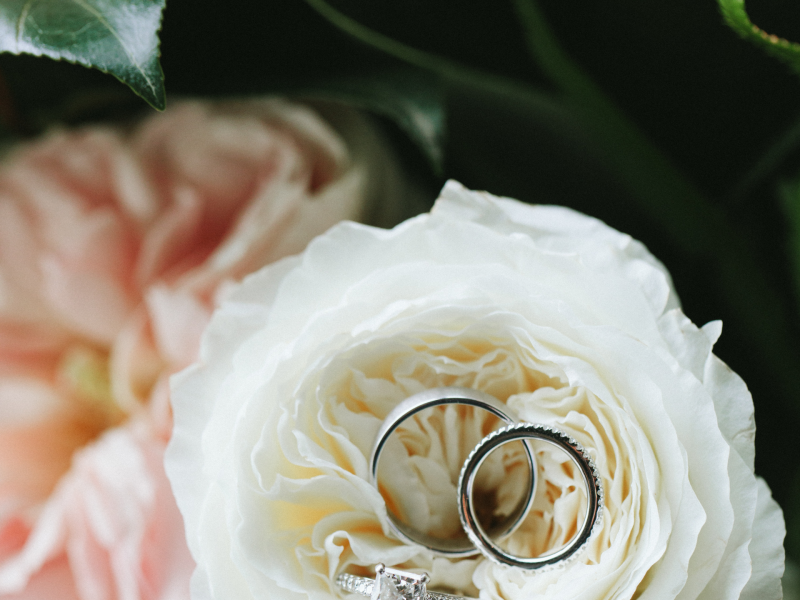 Rings balanced in a rose