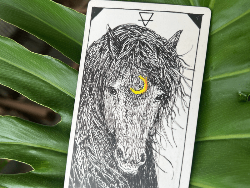 Animal spirit card of a horse
