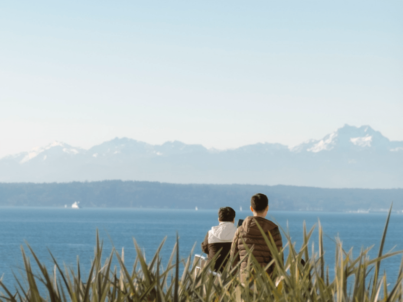 Landscape View in Seattle