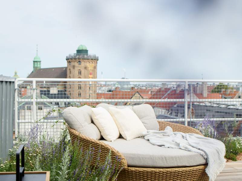 Willow Terrace House