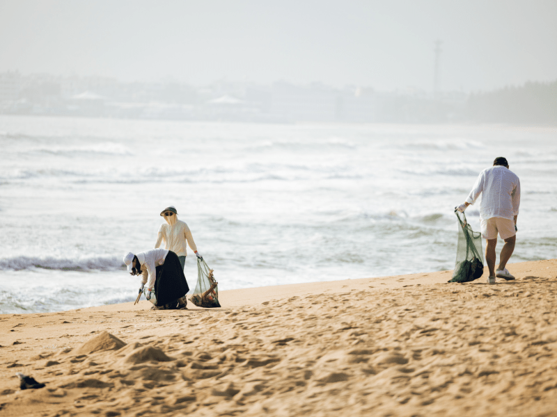 Beach Cleanup