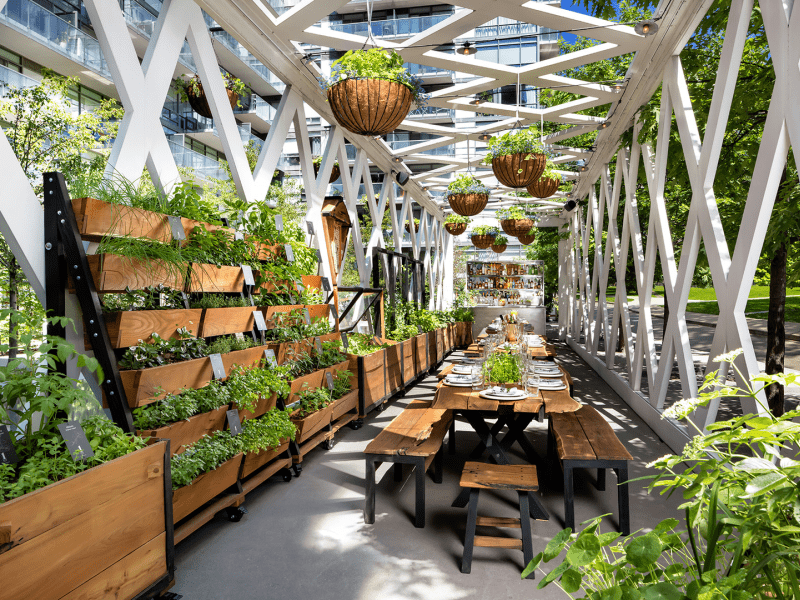 Greenhouse