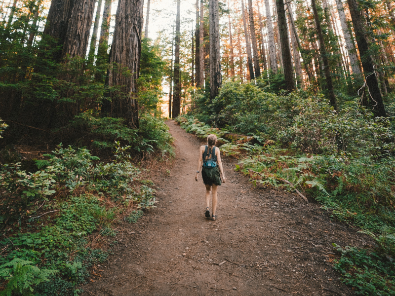 hiking in the woods