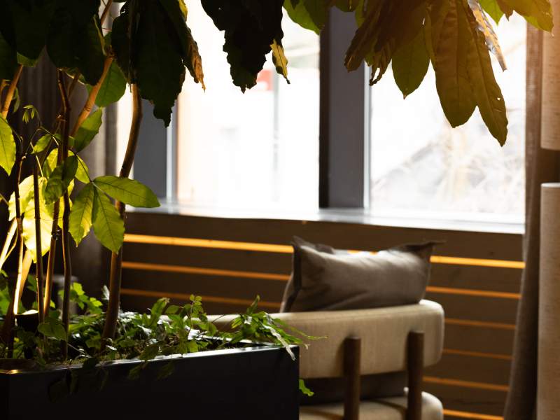 Nature in hotel lobby