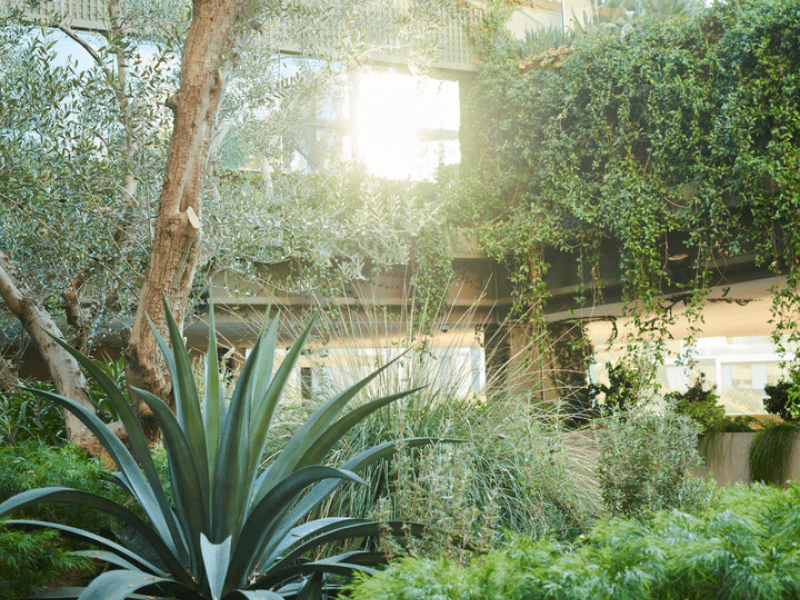 Garden at 1Hotel West Hollywood 