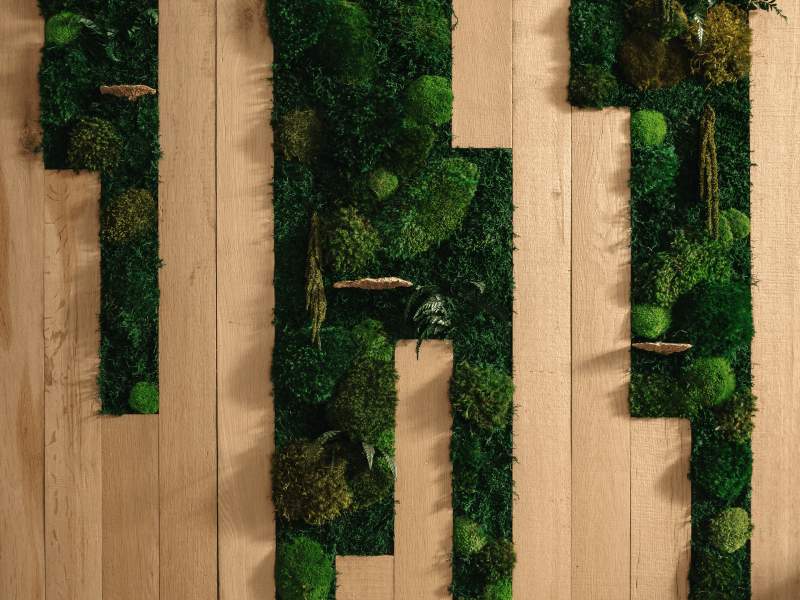 Textura interior MossWall