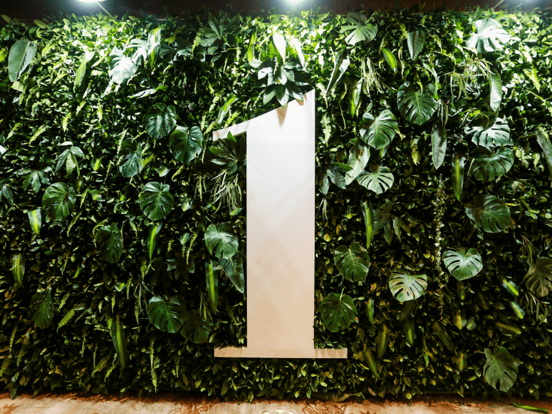 1 logo with a plant wall