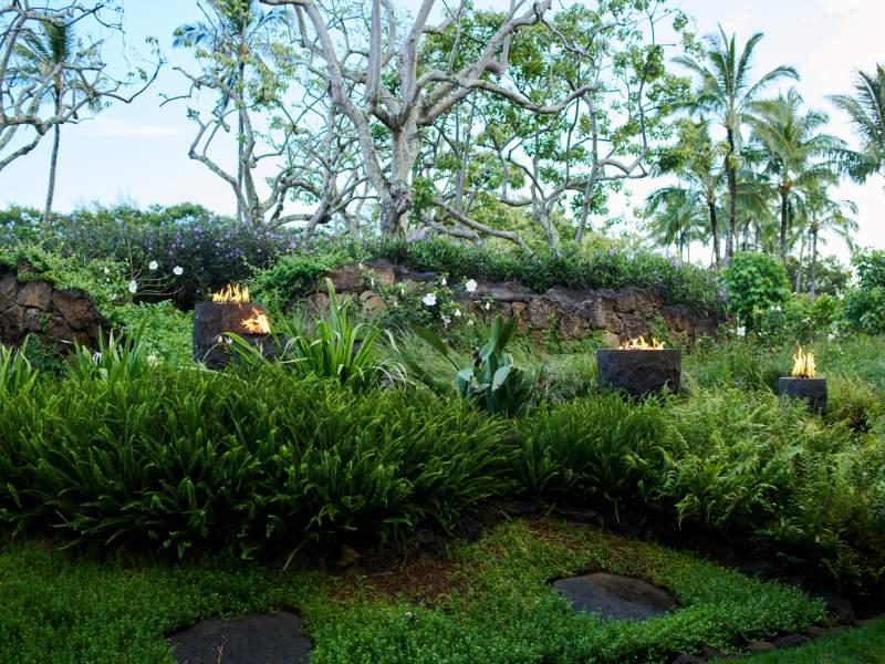 1 Hotel Lobby Garden
