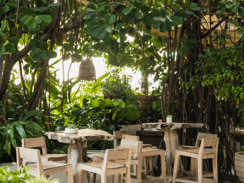 Outdoor seating area underneath large trees