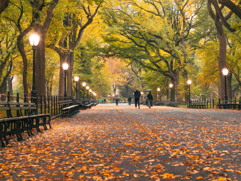 Central Park