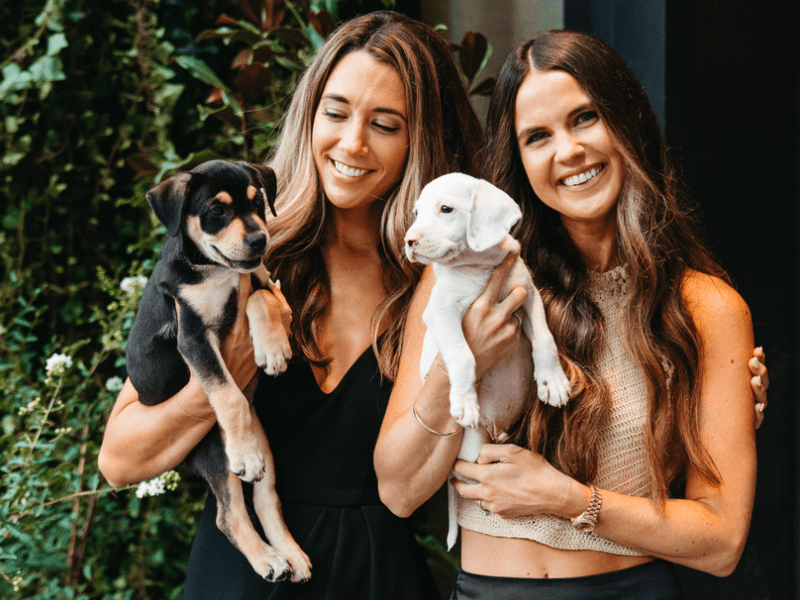 Women holding puppies