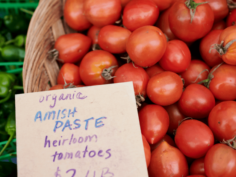 A basket full of Amish paste heirloom tomatoes