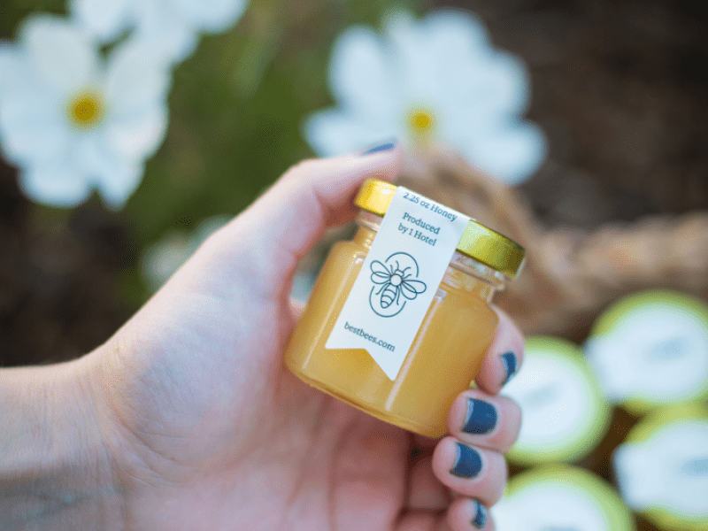 1SF local honey