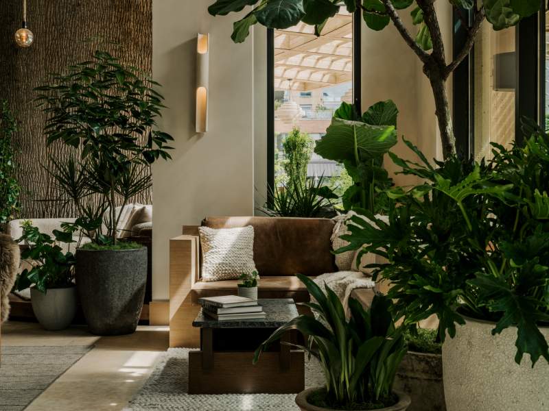 Coin douillet du hall d'entrée