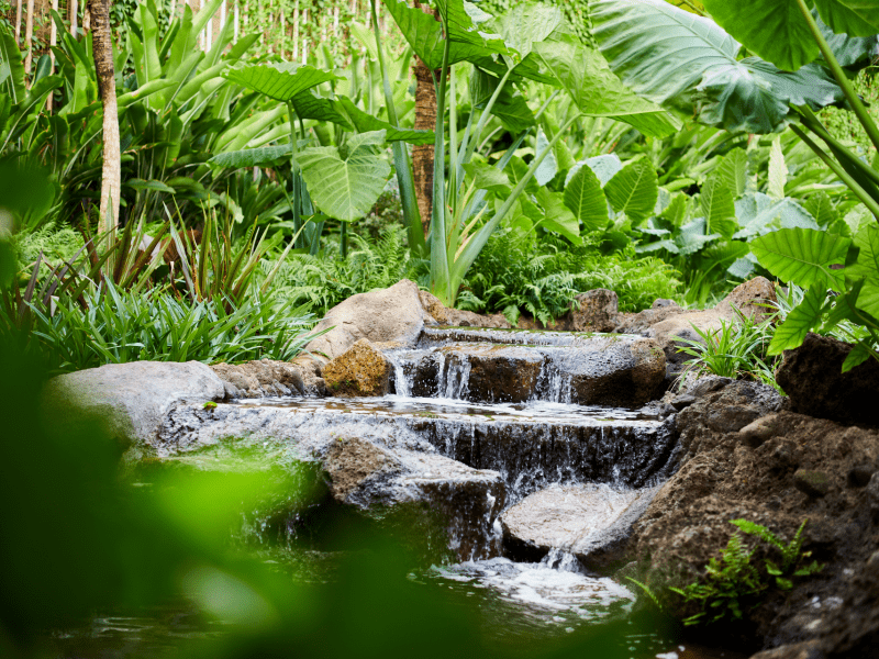 1 Hotel Hanalei Bay Reception Garden