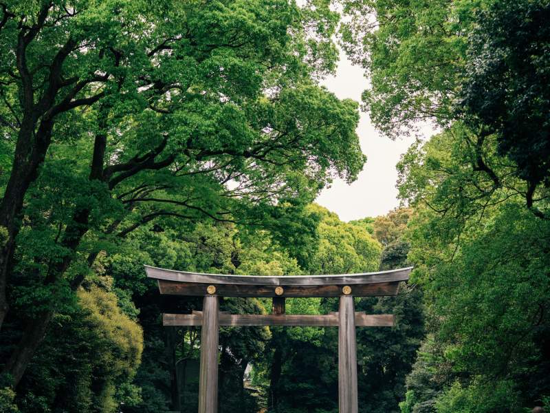 Porte du sanctuaire avec des plantes vertes